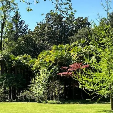 Appartement Minerva -