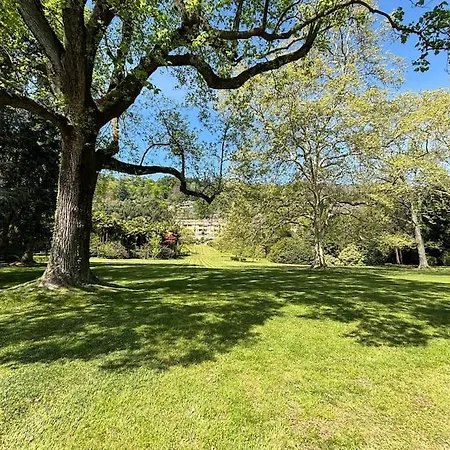 Appartement Minerva - *